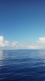 9月15日  ベタ凪 2010/09/15 14:58:34