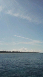 10月25日  飛行機雲 2010/10/25 10:59:26