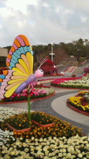 2月26日  花祭り 2011/02/26 17:36:51