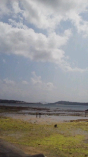 4月5日  浜下り 2011/04/05 14:28:38