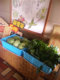 無農薬野菜。 2010/01/07 17:54:09