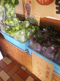 今帰仁野菜 2010/02/27 16:50:15