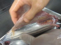 渡名喜島産