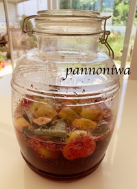 【募集】グアバつくしレッスン♪ 2019/08/28 10:41:15