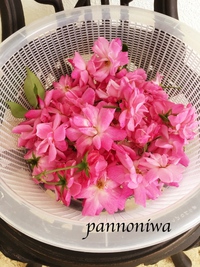 バラジャムは美味しいの？？？