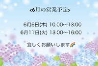 6月の営業予定