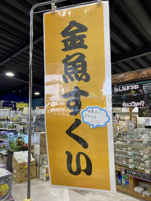 ペットボックス北谷店のブログ