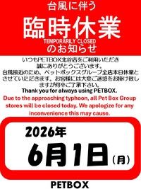 専用 平成レトロ PETBOX ペットボックス 7個セット ペットボックス北谷店のブログ