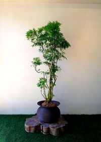 どっちに転んでも・・・