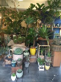 「HOME COFFEE×PLANTADOR」