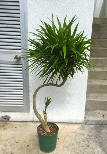 与那原〜南城市・那覇へ