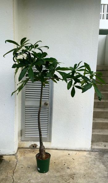与那原〜南城市・那覇へ