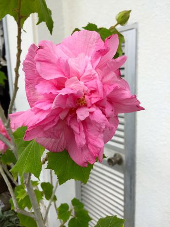 与那原〜南城市・那覇へ