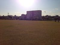 学びながら・・・