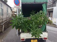 うまくいくといいな。