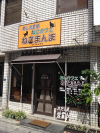 ネコカフェ 2014/06/08 06:35:04