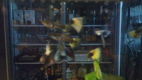 ～癒し～ 2010/10/04 12:34:43