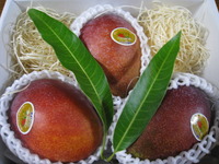 わぁ～い、わぁ～いぃぃぃ（*^_^*） 2009/07/09 09:00:41