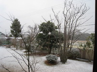 寒いよ～( 一一) 2010/01/13 10:48:34