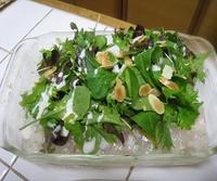 昨日は・・・ 2010/09/19 08:38:44