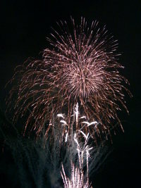 はな・・・ハナ・・・・・花火～！！！