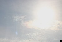 参上
