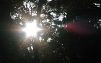 １１月０７日☆☆☆☆