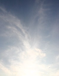 １１月０７日☆☆☆☆☆