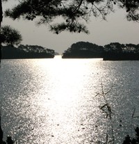 晩秋の