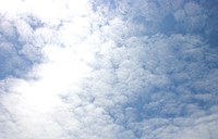 忘れてた