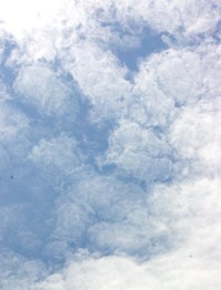 忘れてた