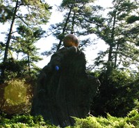 くれ　三