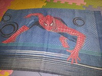 ☆スパイダーマン☆