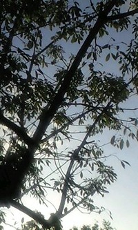 嬉しい報告☆ 2009/09/08 01:01:36