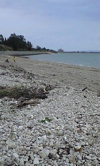 ビーチクリーン活動☆ 2009/10/12 18:57:49