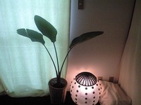 6月2日の記事 2009/06/02 00:19:47