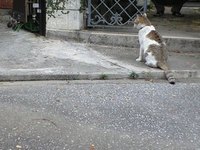 おはようございます！ 2009/03/21 10:43:48