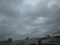 今帰仁から…。 2009/05/24 15:52:46