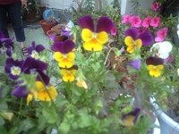 求めよ!! 2009/04/09 01:15:16