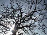Peace☆ 2009/04/21 22:25:17