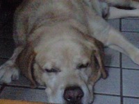 あっ…足が…！ 2009/07/24 01:48:01