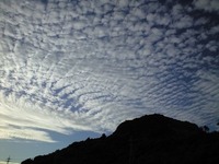 『夢』を持って生きたい 2009/07/02 21:17:49