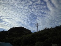 戦いp(^-^)q 2009/08/02 22:48:09