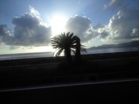 読谷から…p(^-^)q 2009/07/22 19:37:39