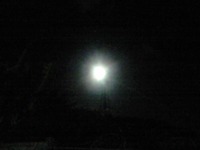 情けない。 2009/11/08 19:38:22
