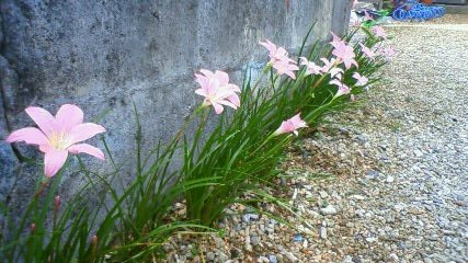 朝から。。。