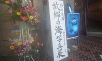 写真展 2011/11/04 14:36:25