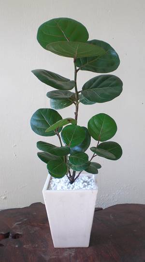 納品してこ。