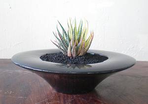 納品してこ。