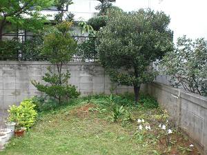 ただひたすらに・・・